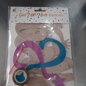 PARTY BANNER BOY OR GIRL  2147