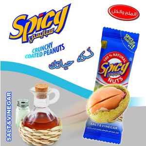 SPICY NUTS SALT &VINEGAR   24s